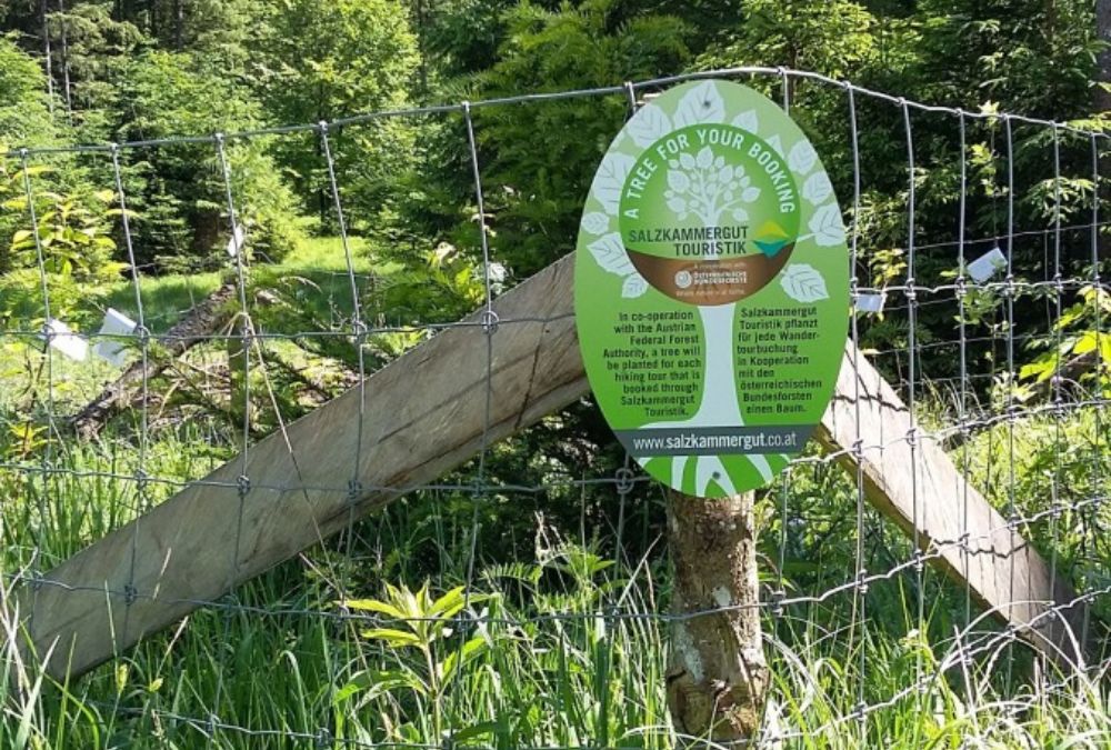 Tag på vandreferie eller cykelferie i Salzkammergut og bidrag til plantning af ny skov. 